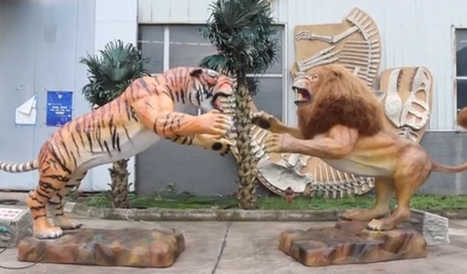 狮子老虎打斗